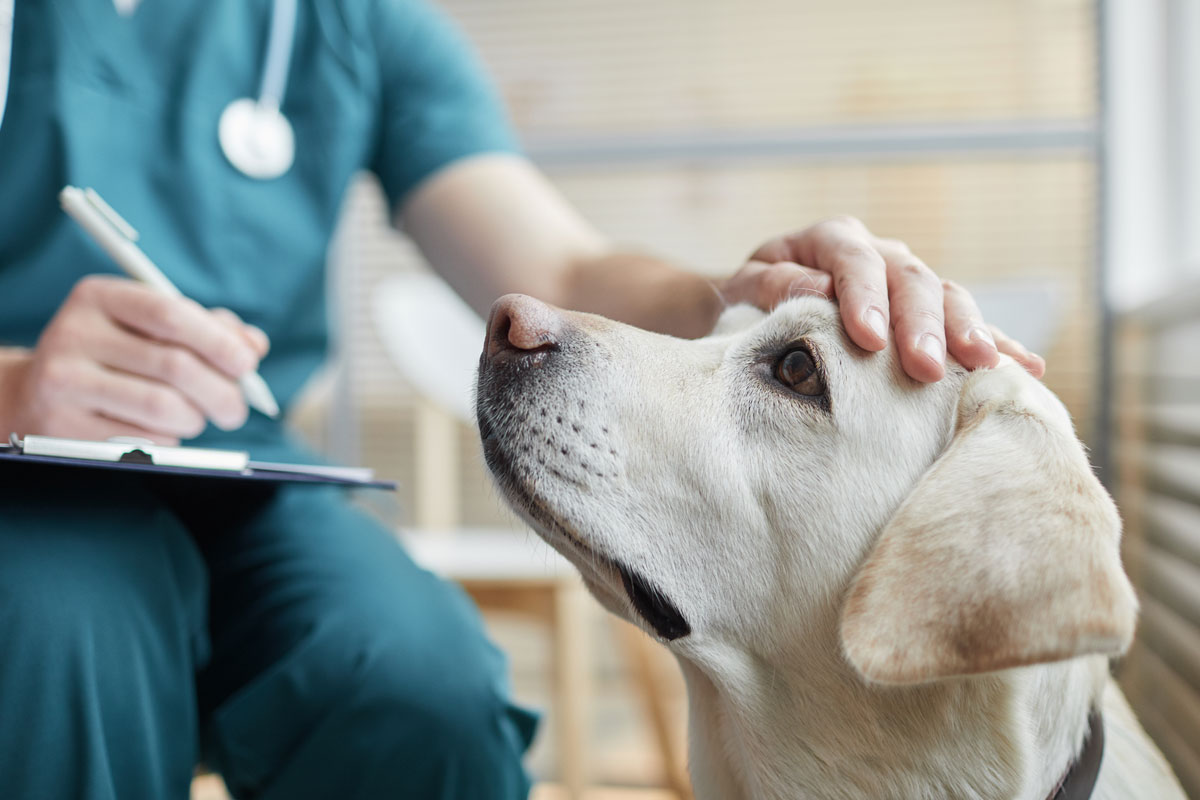 caring-hands-at-the-clinic