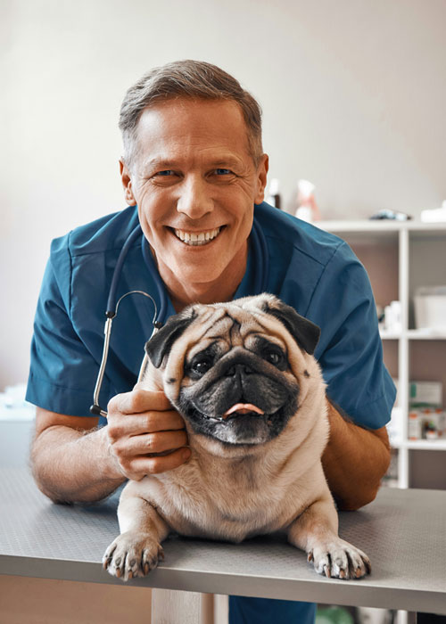 vet-with-dog